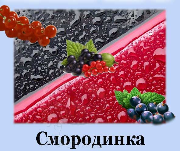 Red and blek currant - Смородинка