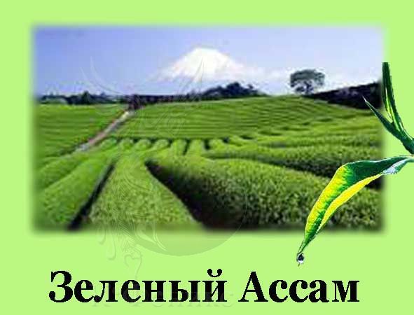 Assam superfine green tea - Зеленый чай Ассам